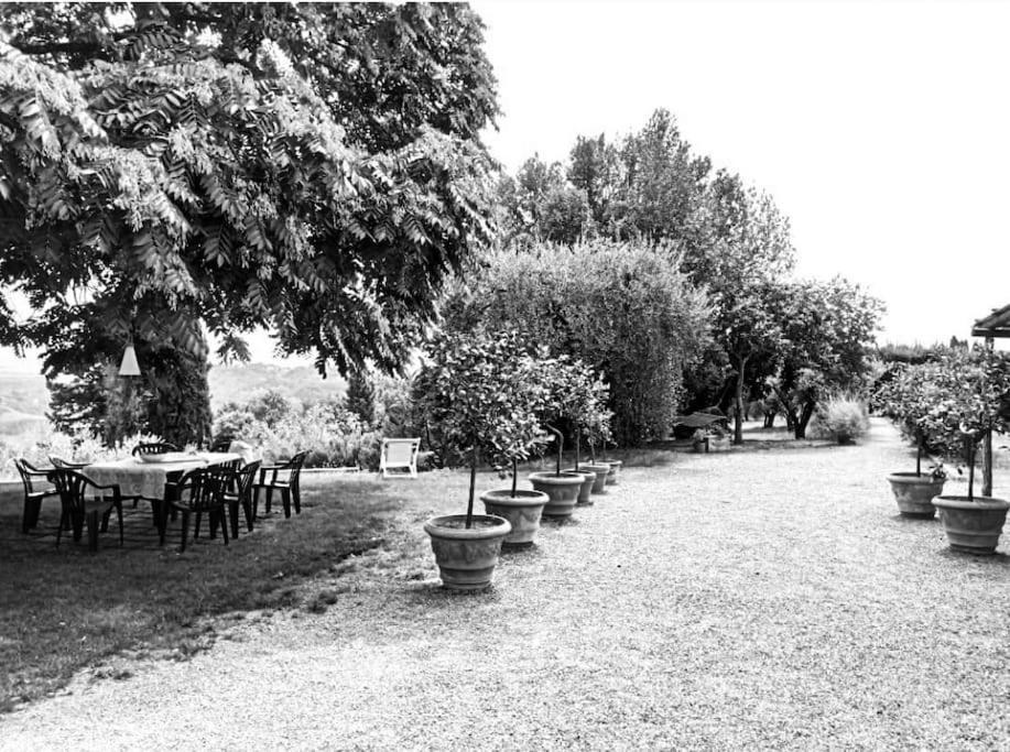 Podere San Giorgio パラーイア エクステリア 写真